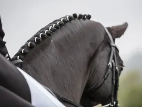 Crystal Embellished Horse Bands