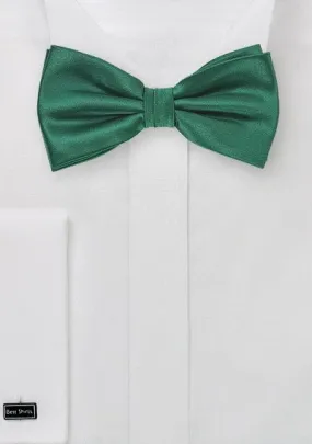 Hunter Solid Bowtie